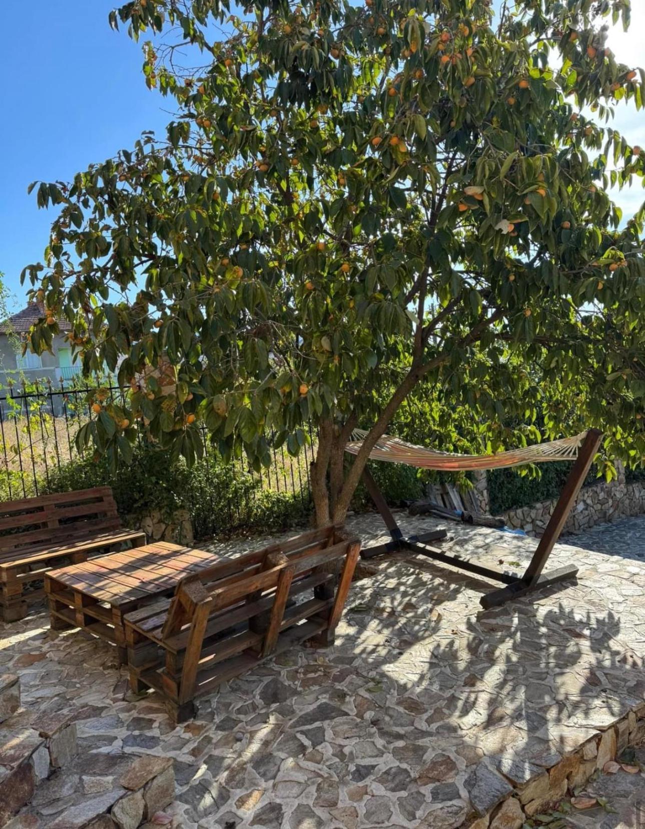 Sunshine Villa Dzhigurovo Sandanski Exterior photo